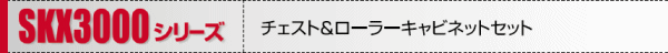 SKX3000�V���[�Y