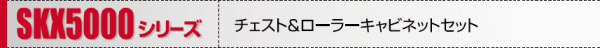SKX5000�V���[�Y